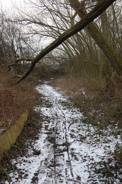 Path Adjacent to Shortbrook