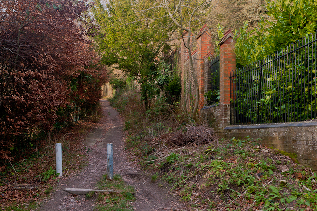 Path up Colley Hill