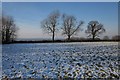 Snowy field on Hackpen Hill