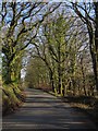 Road on Hackpen Hill