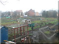 Tanyfron Allotments