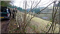 Hedge laying above Rodmore Mill