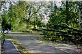 Storm damage, 1987