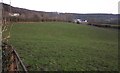 Pasture, Blackborough