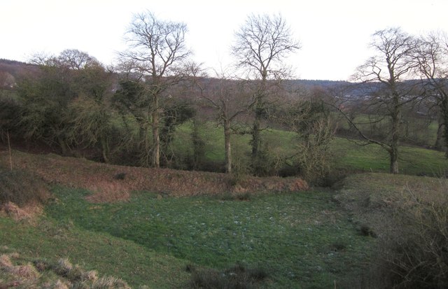 Meadow near Blackborough