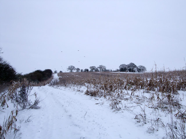 Bridleway near Blackrabbit Barn