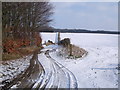 Farm track above Mildenhall