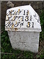 Milestone and bench mark, Barnsmuir