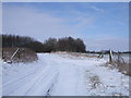 Byway, Poulton Downs