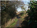 The Avon Valley Path approaching Winkton