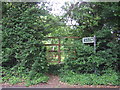 Footpath, Canford Magna