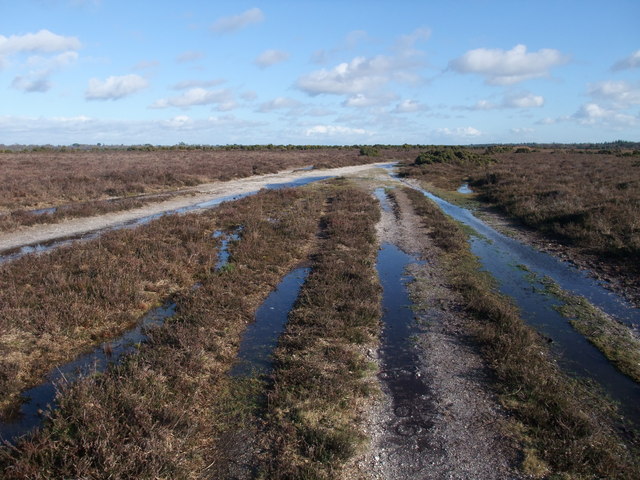 Holmsley Ridge, New Forest © Tim Heaton cc-by-sa/2.0 :: Geograph ...