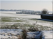 SK7479 : Snow in the fields north of Grove village by roger geach