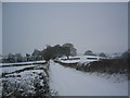 Snow on a green lane in Coreley