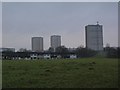 St Leonards houses and tower blocks