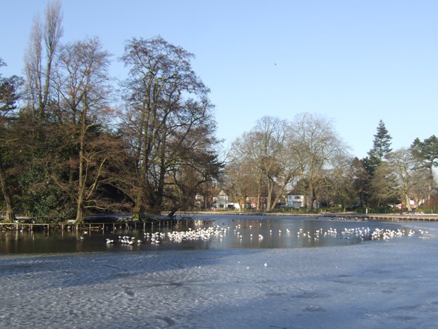 Winter in the West Park