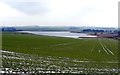 Great Northern Reservoir, Whittle Dene