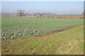 View to Nastfield Farm