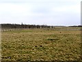 NZ0769 : Disused Ouston Airfield from the west by Andrew Curtis