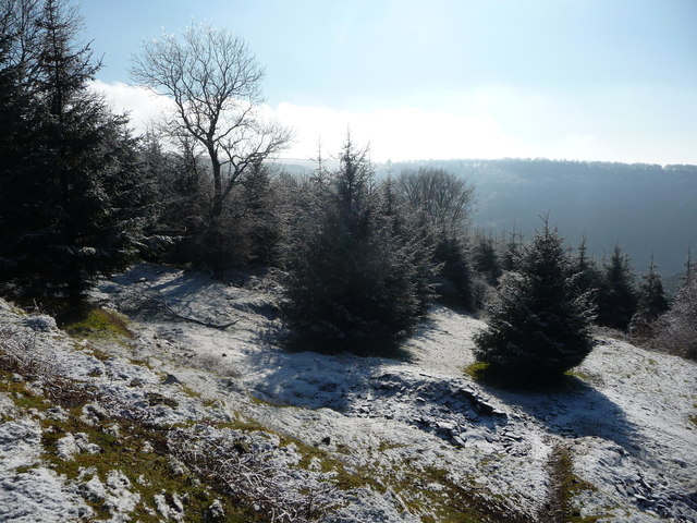 Open space in the forestry plantation above the Gwyddon valley