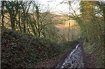 SS6813 : Mid Devon : Farm Track by Lewis Clarke
