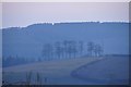 Mid Devon : Trees & Fields