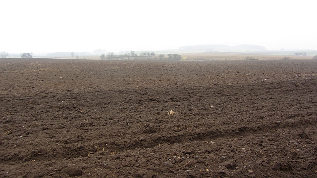 Ploughed field, Little Pilmuir