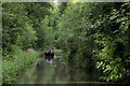 SJ6931 : The canal in Woodseaves Cutting, Shropshire by Roger  Kidd