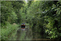 SJ6931 : The canal in Woodseaves Cutting, Shropshire by Roger  D Kidd