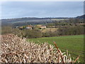 Towards Wigwig from the lane