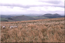 NT6906 : Carter Bar: looking north into Scotland towards Knock Hills by Christopher Hilton