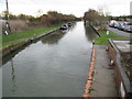 Grand Union Canal: Downstream of Whilton Locks