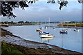 Up-river from Kendal Park (Summer)