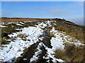 SE1445 : Ebor Way on Stead Crag by Chris Heaton