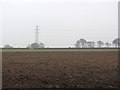 Ploughed field near Newton Hall