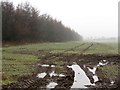 Soggy field entrance