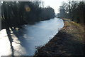 Frozen Staffordshire and Worcestershire Canal