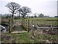 Footbridge over Sparrow Letch south-west of Coldside