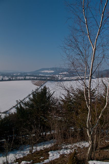 View from Mount Hill in snow