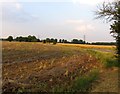 Eastwards from Green Tye