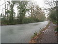 Basingstoke Canal passing Heatherside Schools