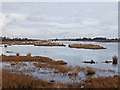 NS8875 : Flooded peat workings at Gardrum Moss by William Starkey