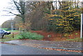 Footpath into Tilgate Park