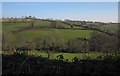 Valley near Upcott Mill