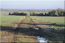 SO7708 : Farmland at Whitminster by Philip Halling