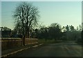 Telephone box and village green in Ham