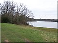 Footpath beside Beaulieu River