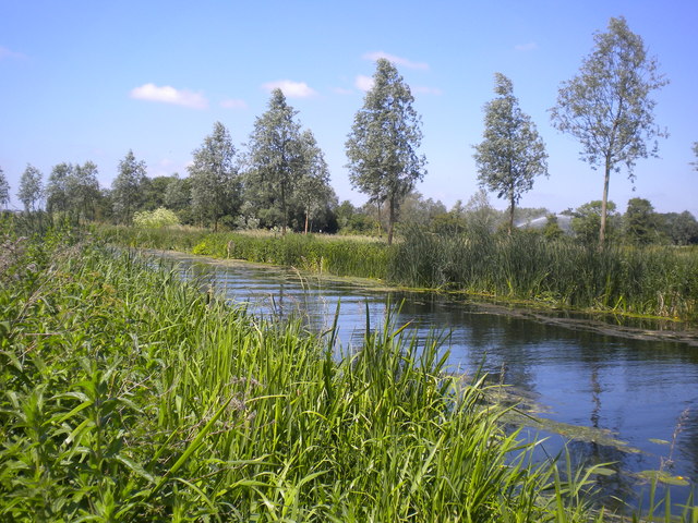 The River Chelmer