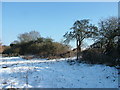 Snowy footpath on edge of nature conservation area