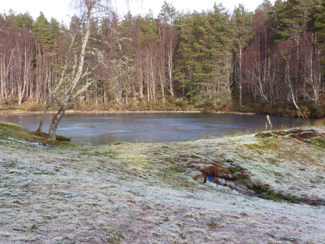 Reservoir in Clashmore Woods